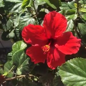 Meet your Posher, Alejandra